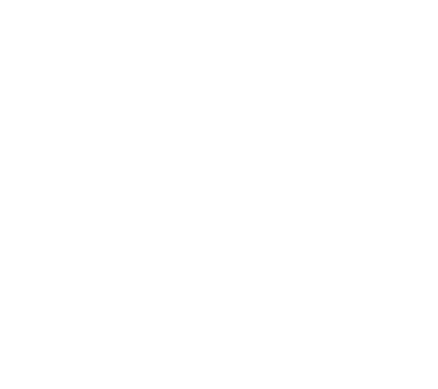 Logo david van eerd